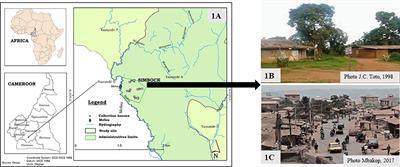 Malaria Transmission and Vector Resistance to Insecticides in a Changing Environment: Case of Simbock in Yaoundé-City, Cameroon